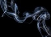 Kwikfynd Drain Smoke Testing
australind